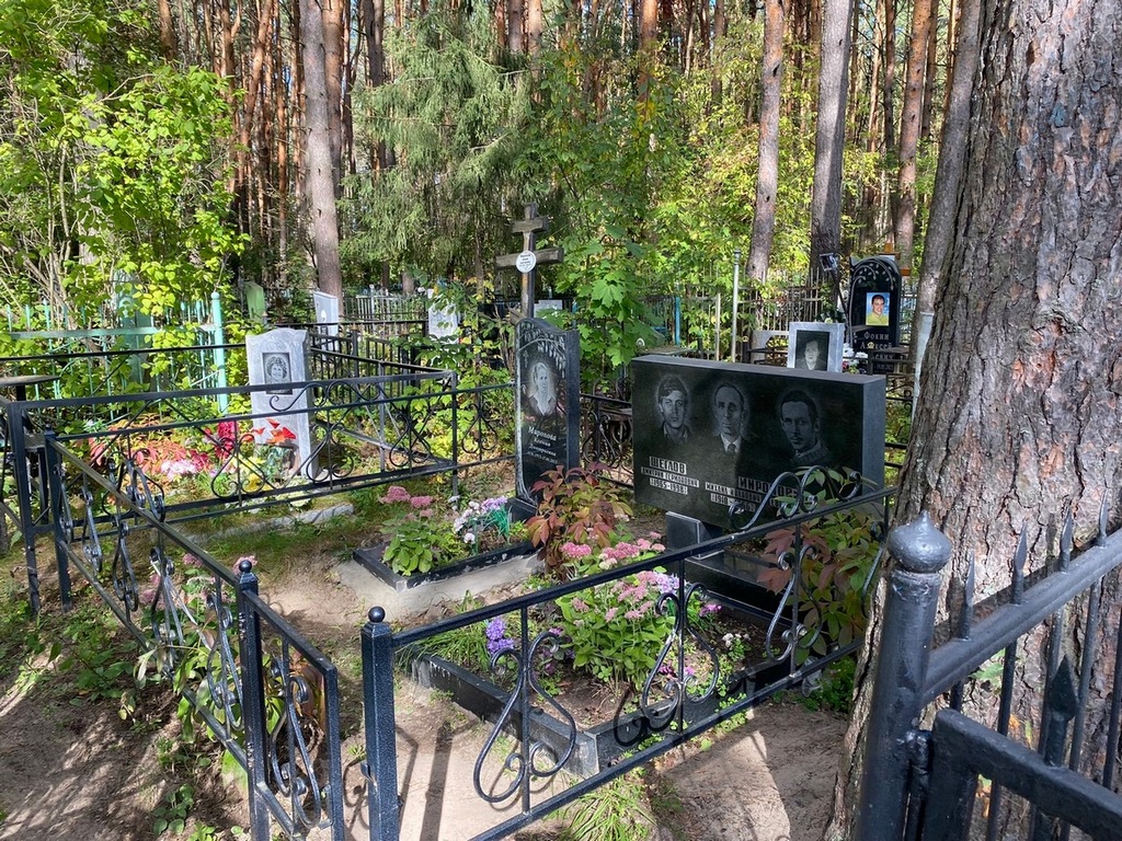 Миронова Ксения Дмитриевна