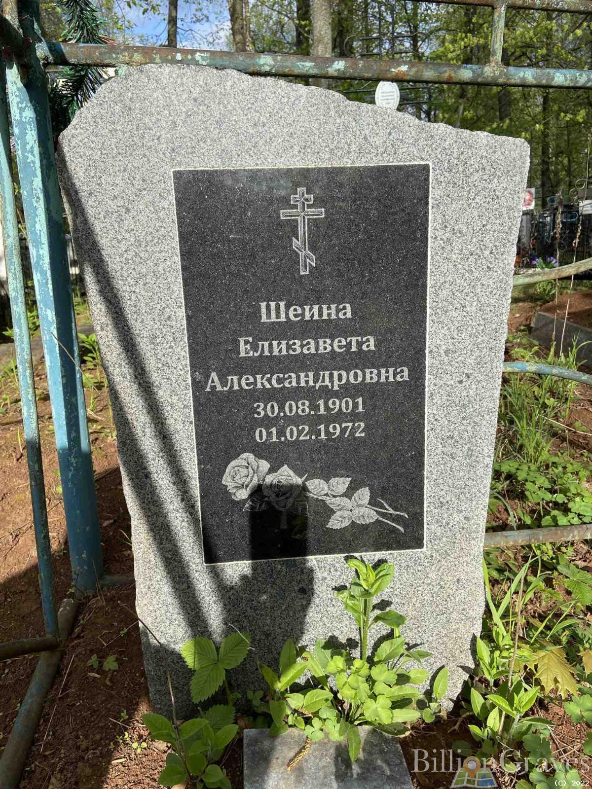 Шеина Елизавета Александровна