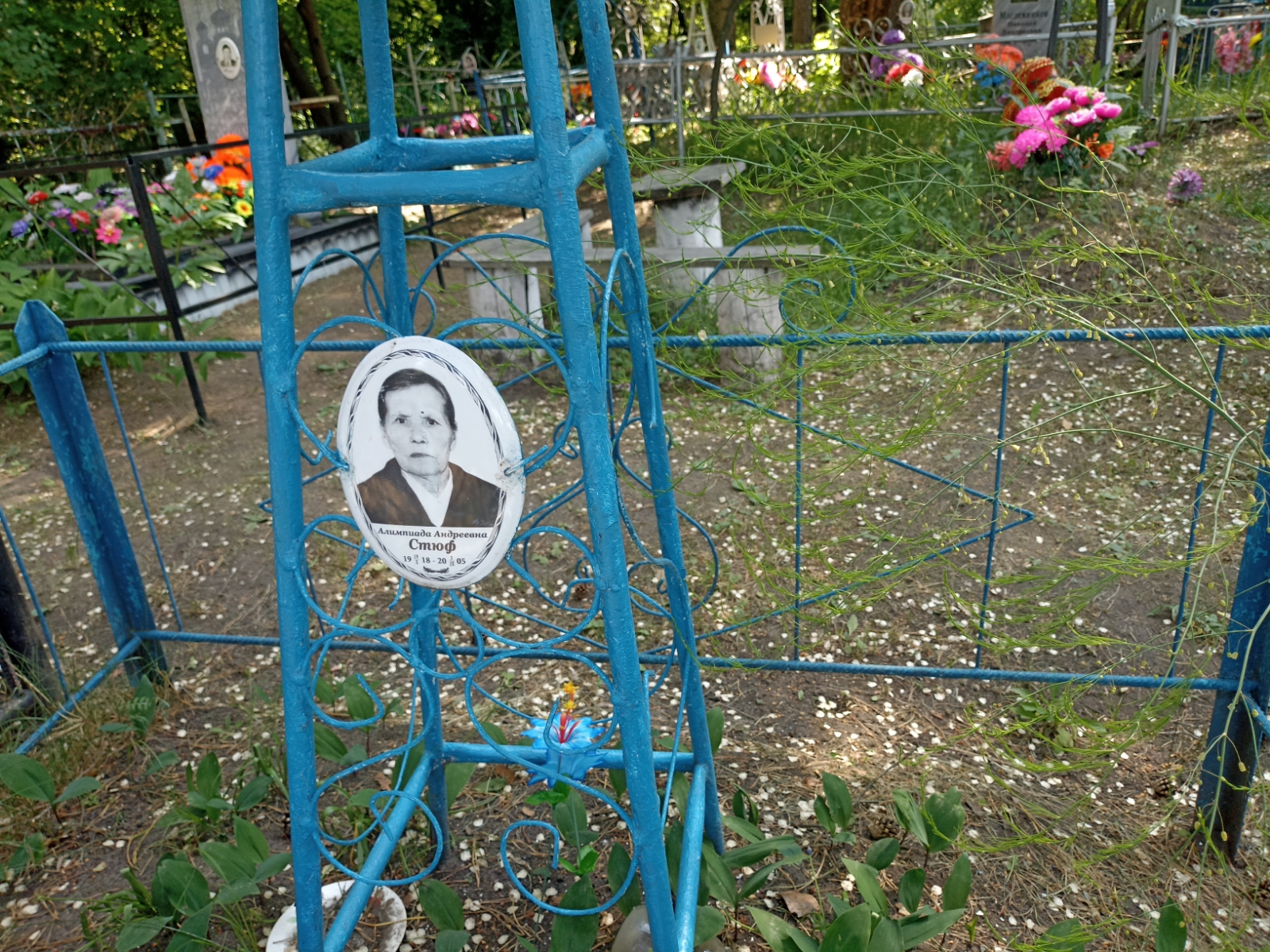 Стюф Алимпиада Андреевна