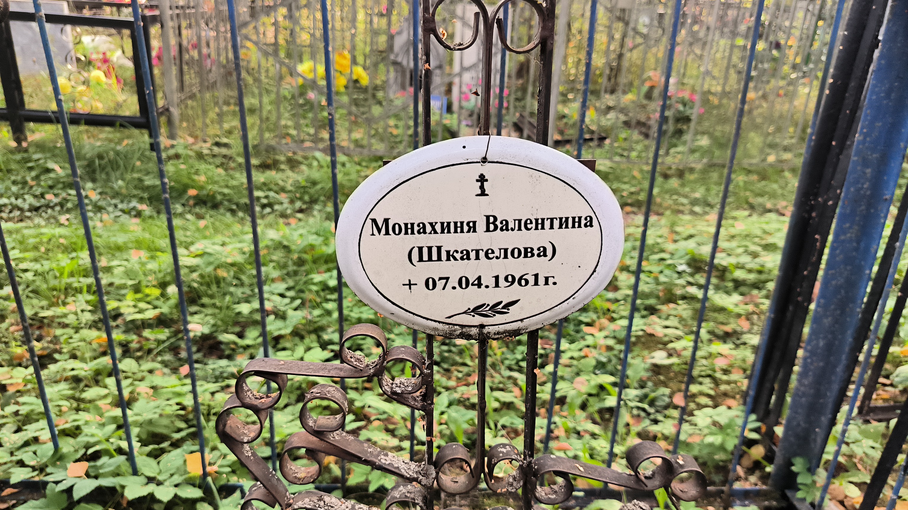 Шкателова Валентина
