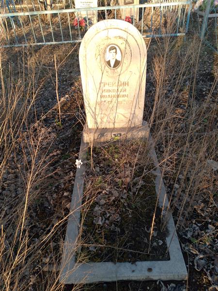 Грейдин Николай Иванович