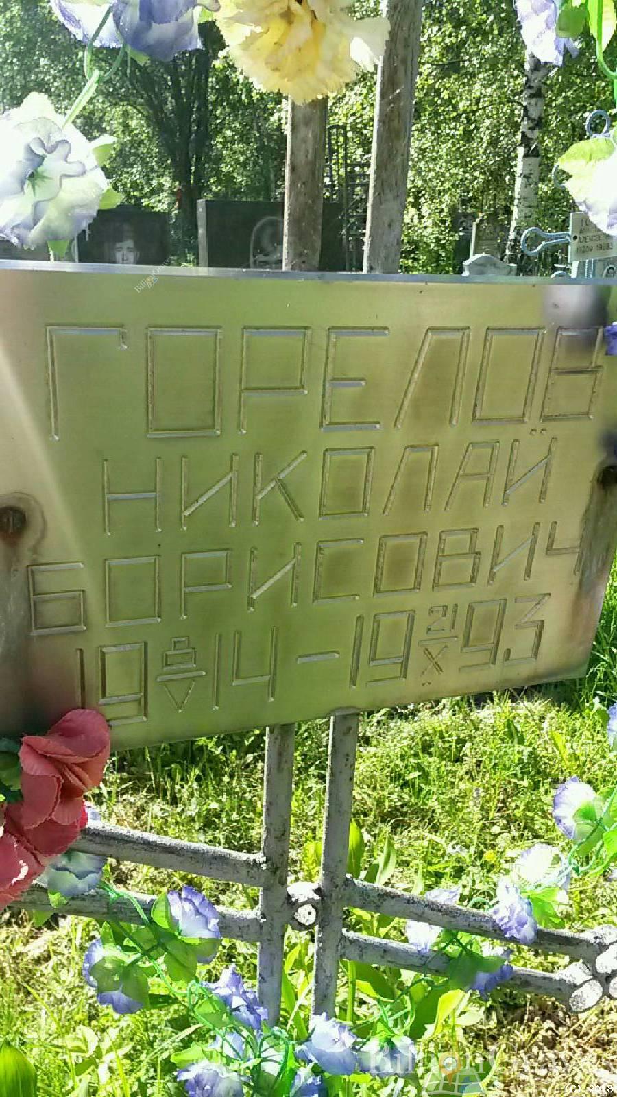 горелов николай борисович