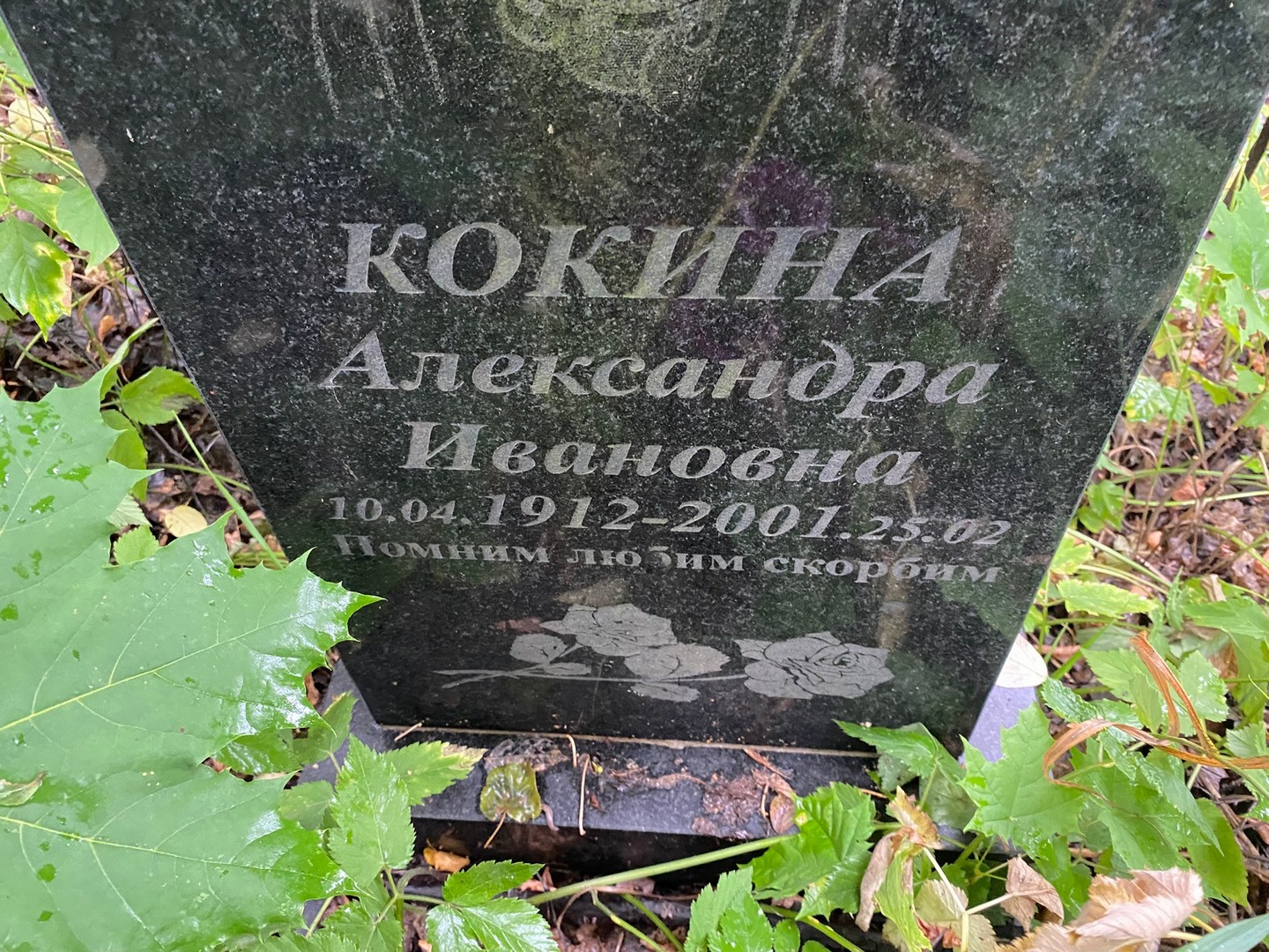 Кокина Александра Ивановна