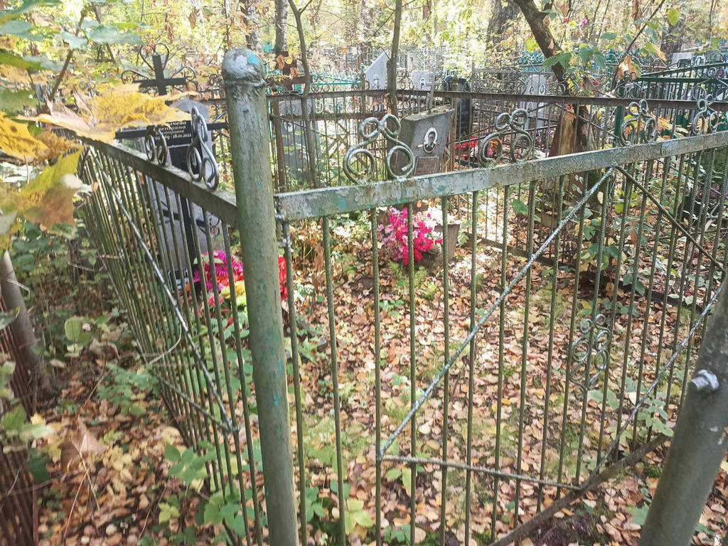 Павлычева Анна Николаевна