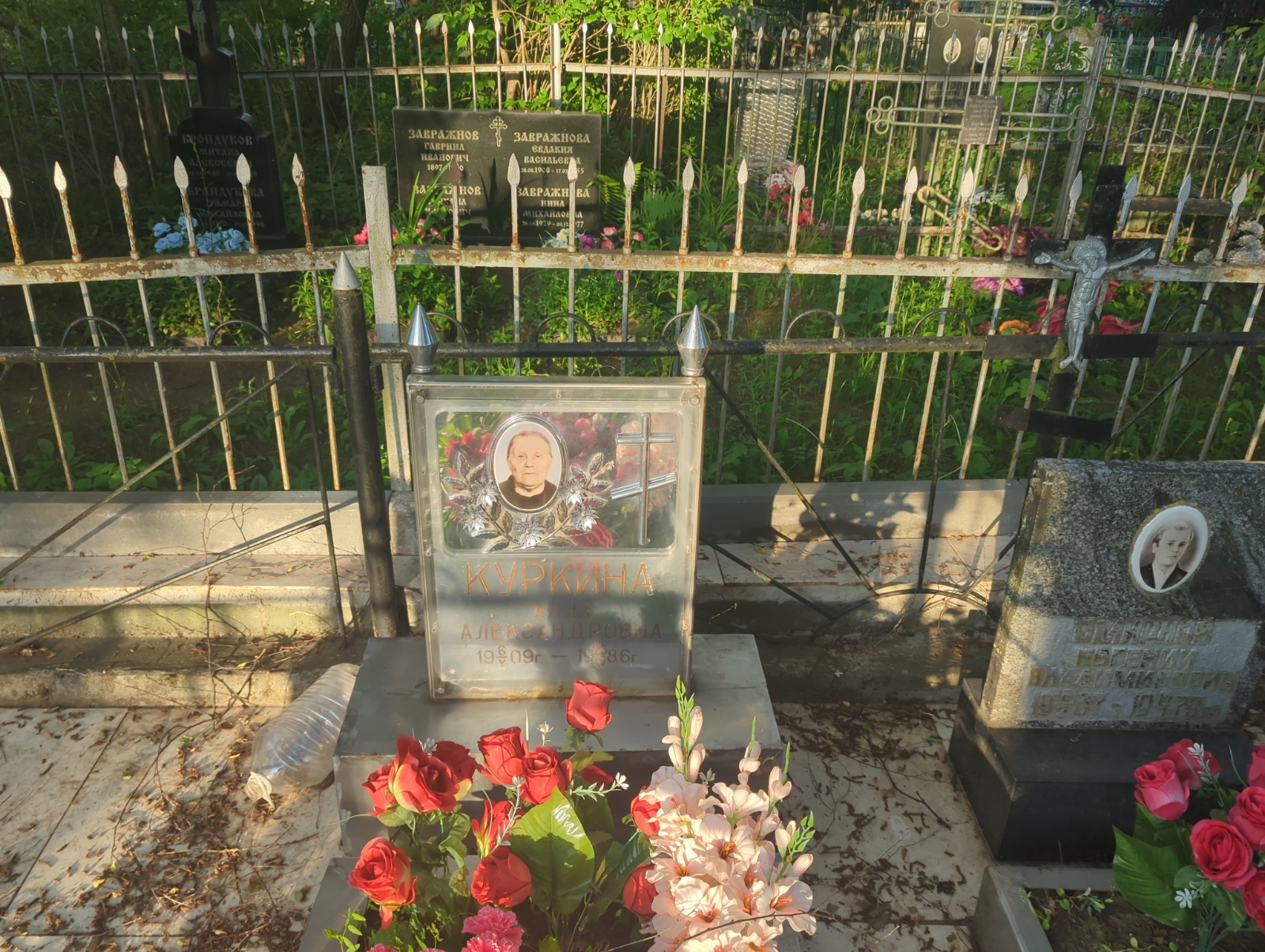 Куркина Анна Александровна