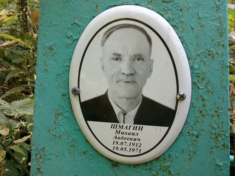 Шмагин