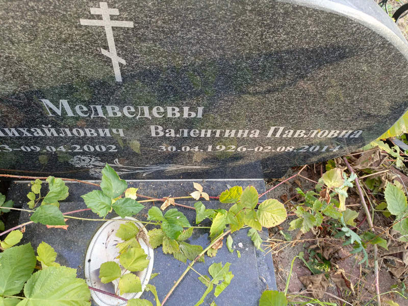 Медведева