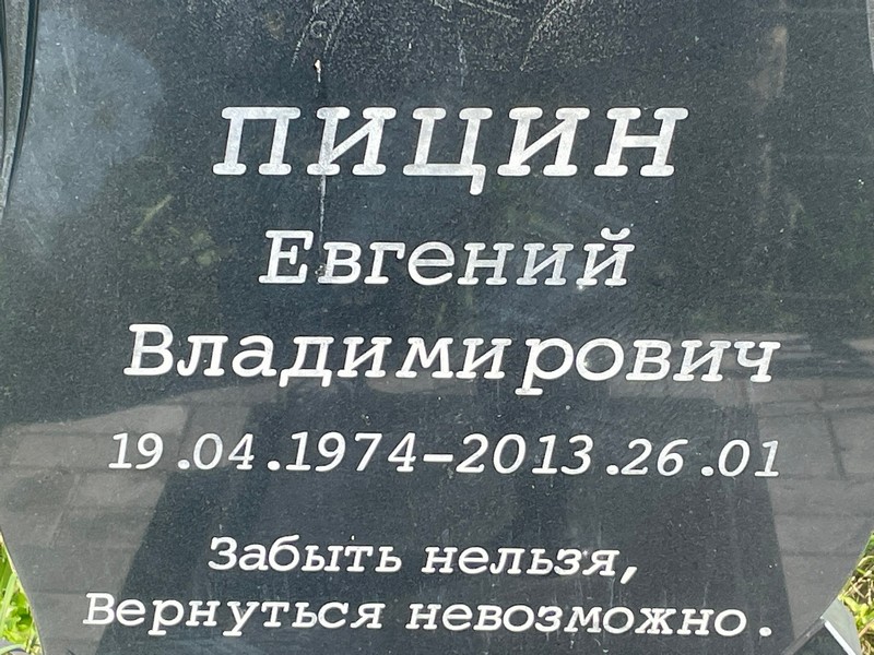 Пицин