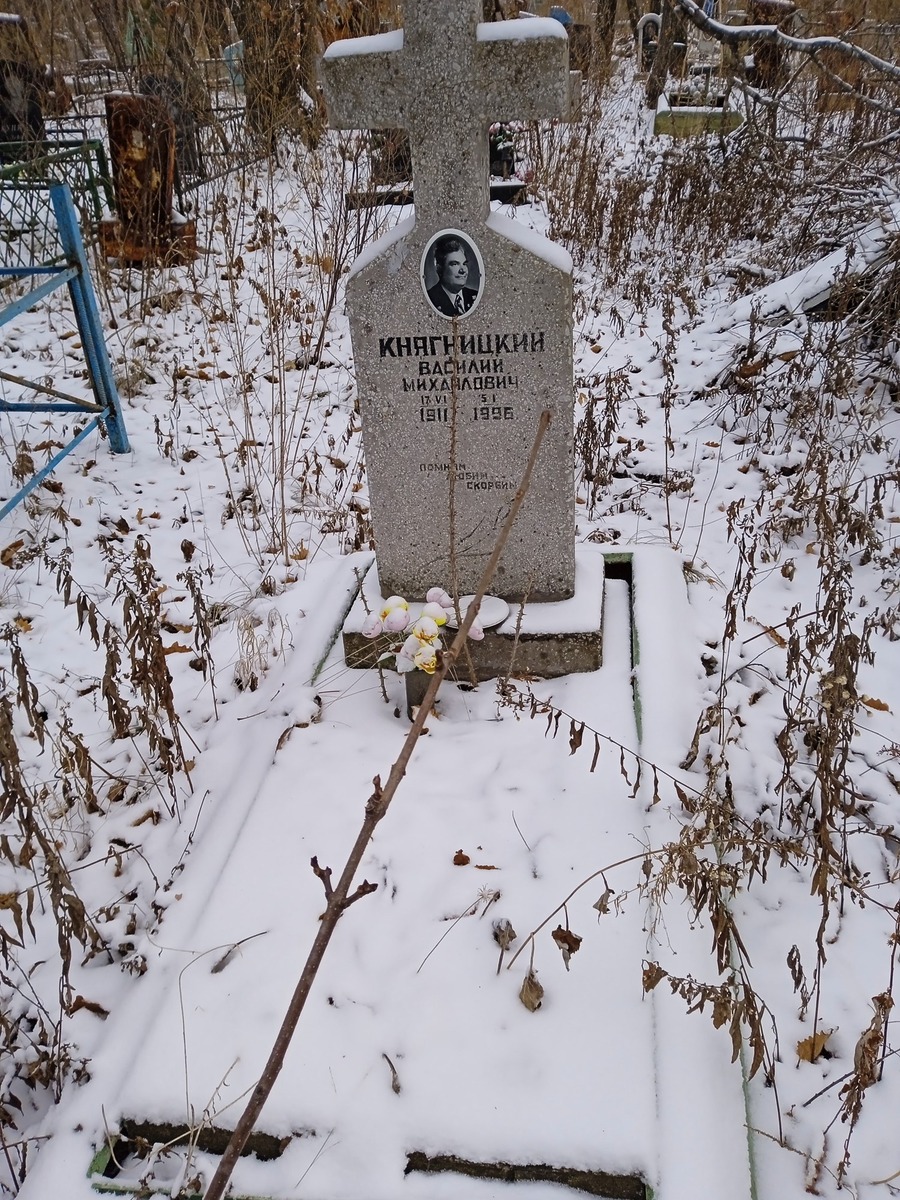 Княгницкий Василий Михайлович