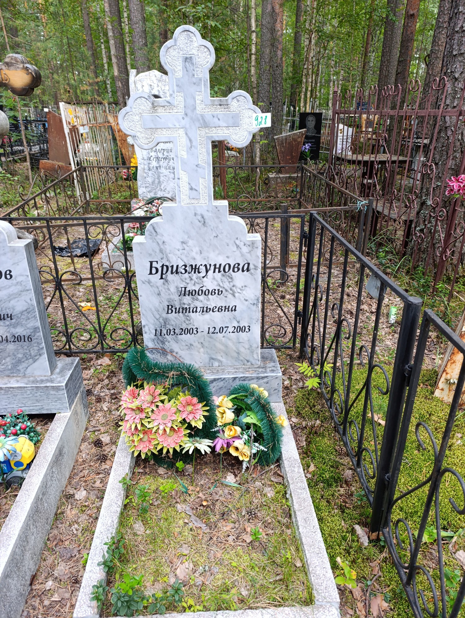 Бризжунова Любовь Витальевна