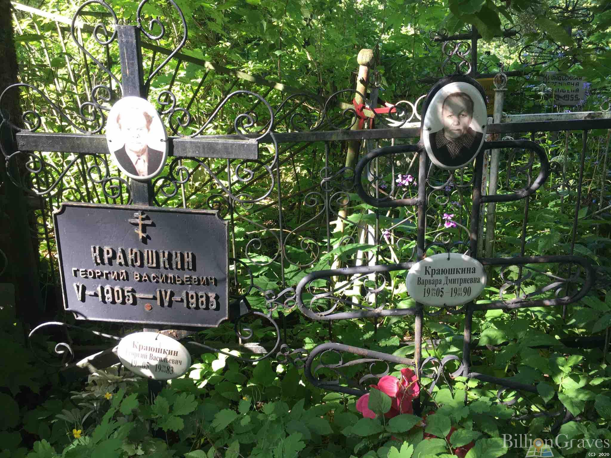 Краюшкина Варвара Дмитриевна