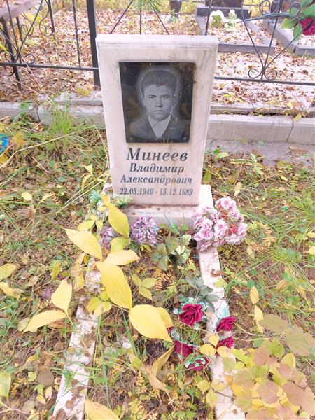 Минеев Владимир Александрович