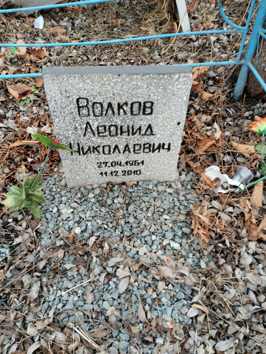 Волков Леонид Николаевич