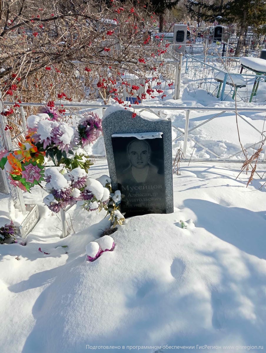 Мусейцов Николай Анатольевич
