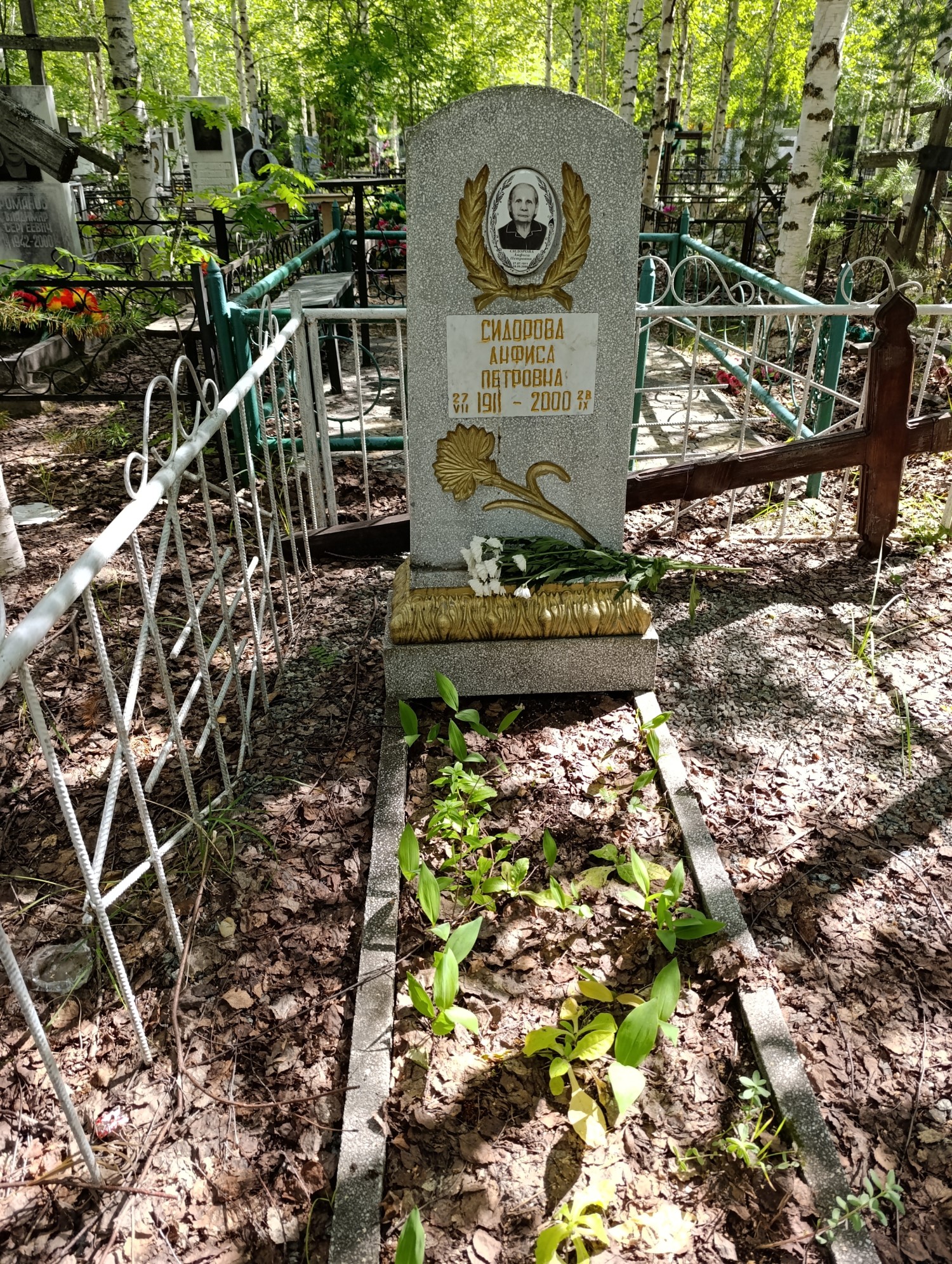 Сидорова Анфиса Петровна