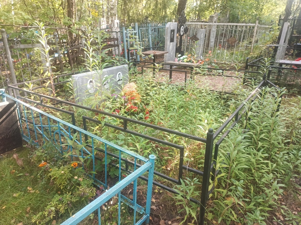 Алексеев Михаил Васильевич