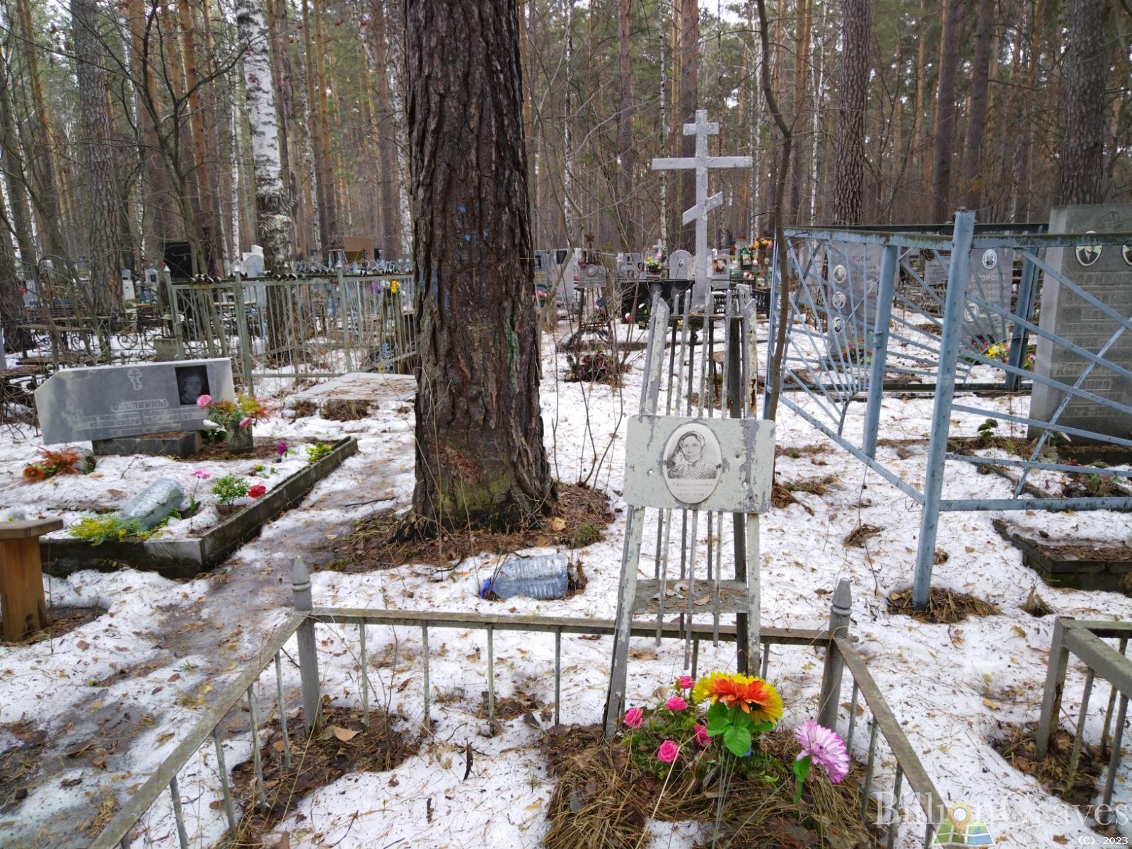 Герасимова Татьяна Егоровна