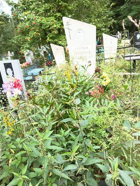 Харина Клавдия Павловна