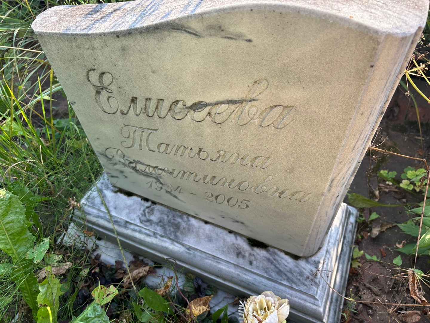Елисеева