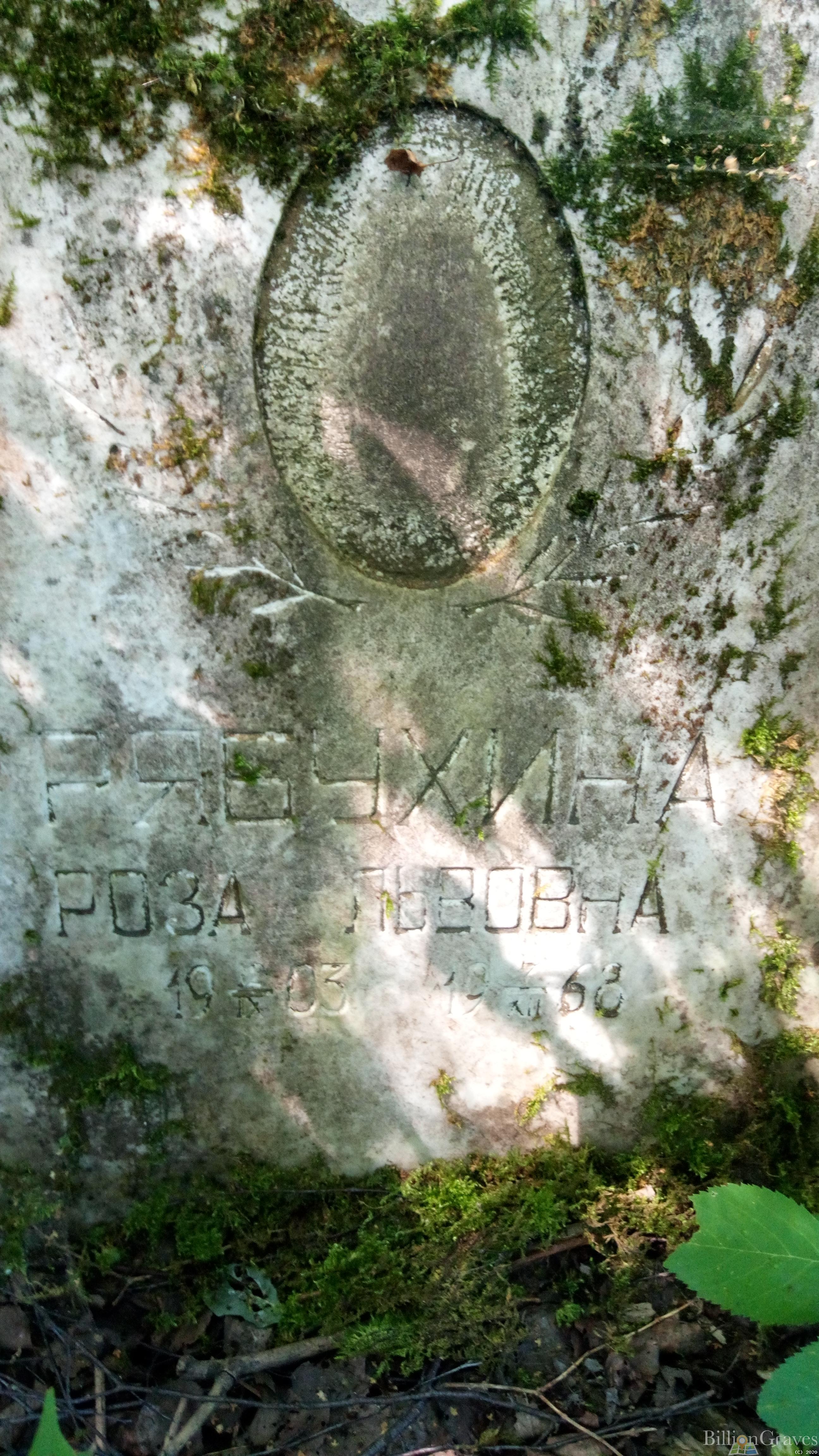 Рябухина Роза Львовна