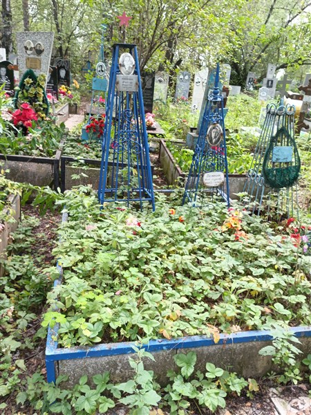 Ложкина Александра Федоровна