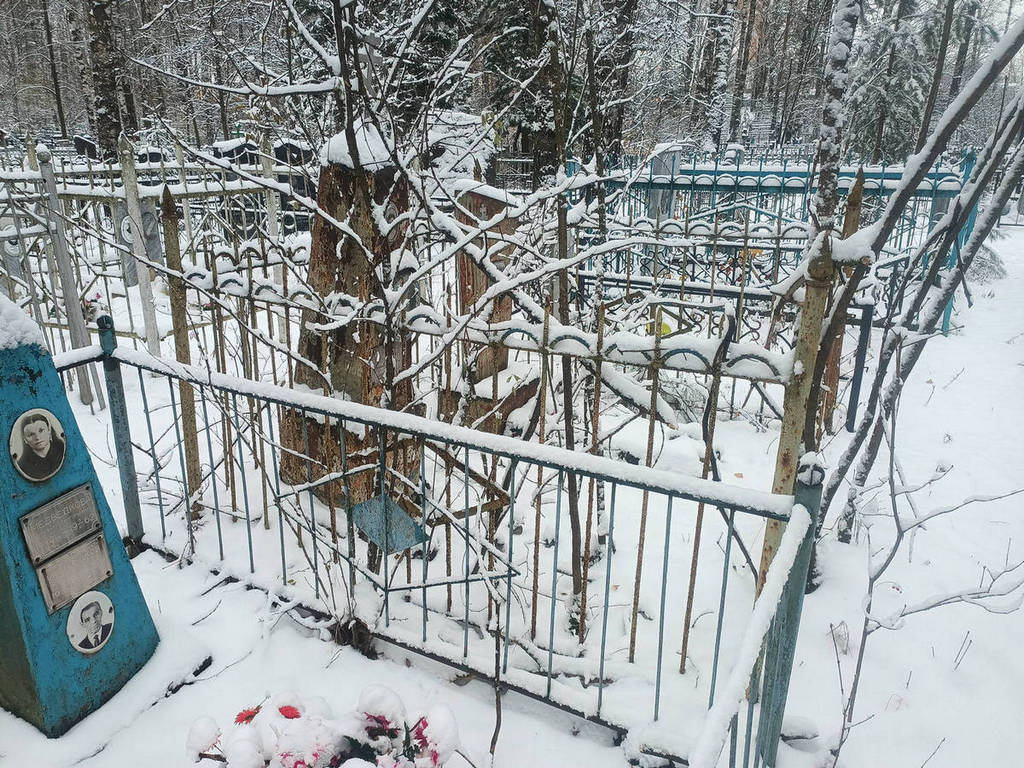 Николаева Альбина Викторовна