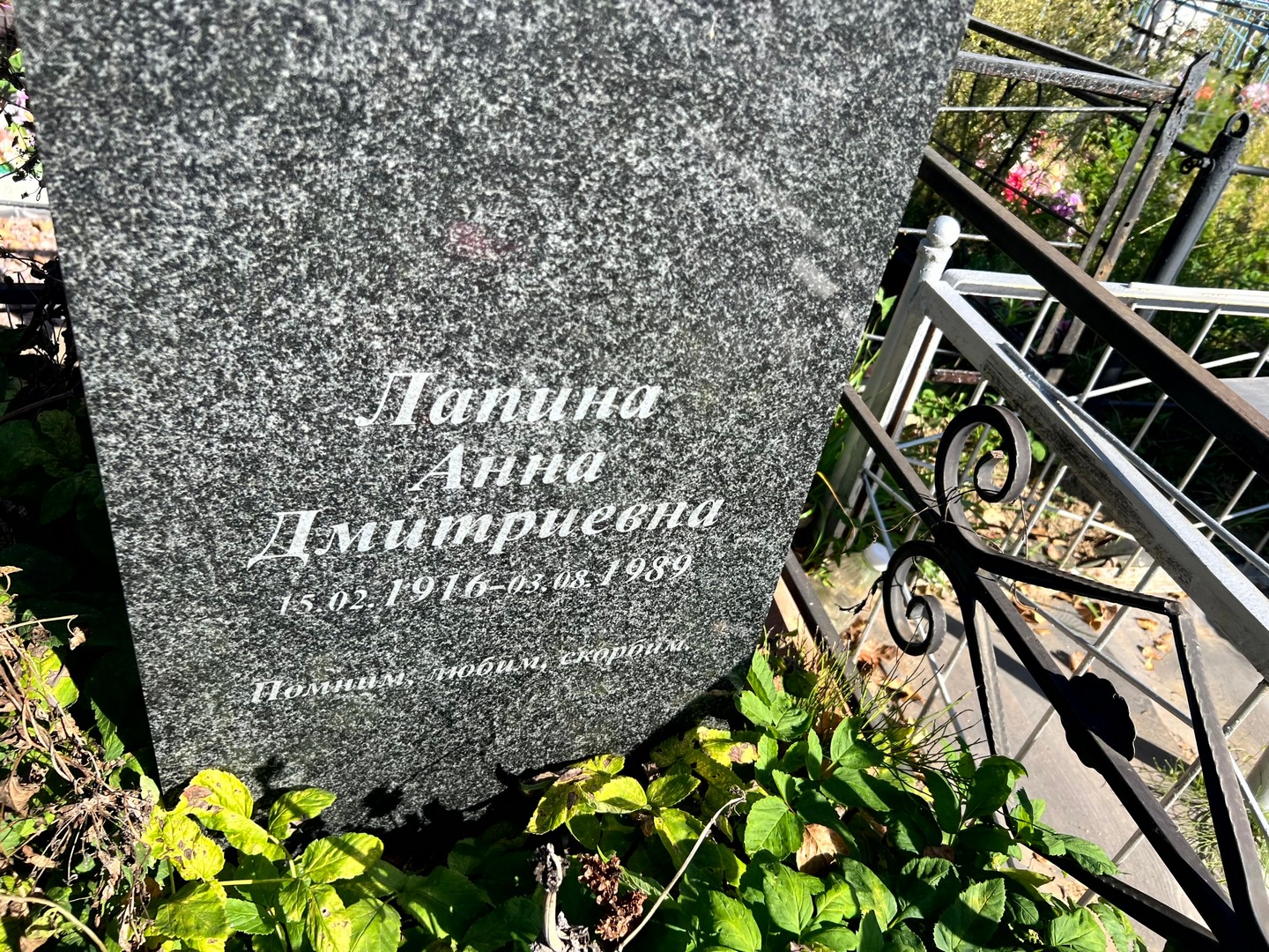 Лапина