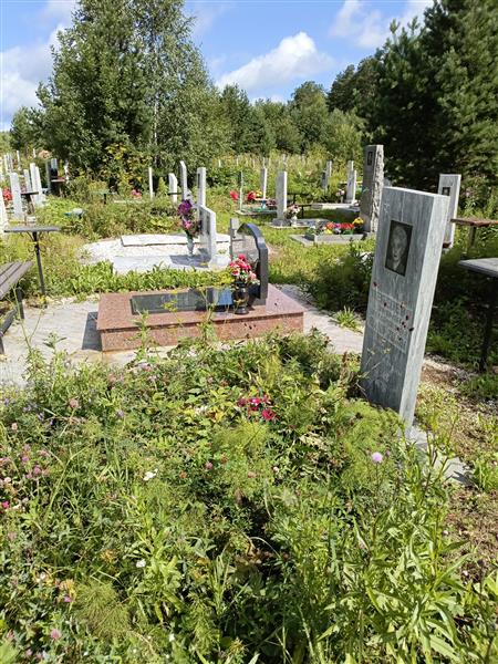 Лузанин Владимир Германович