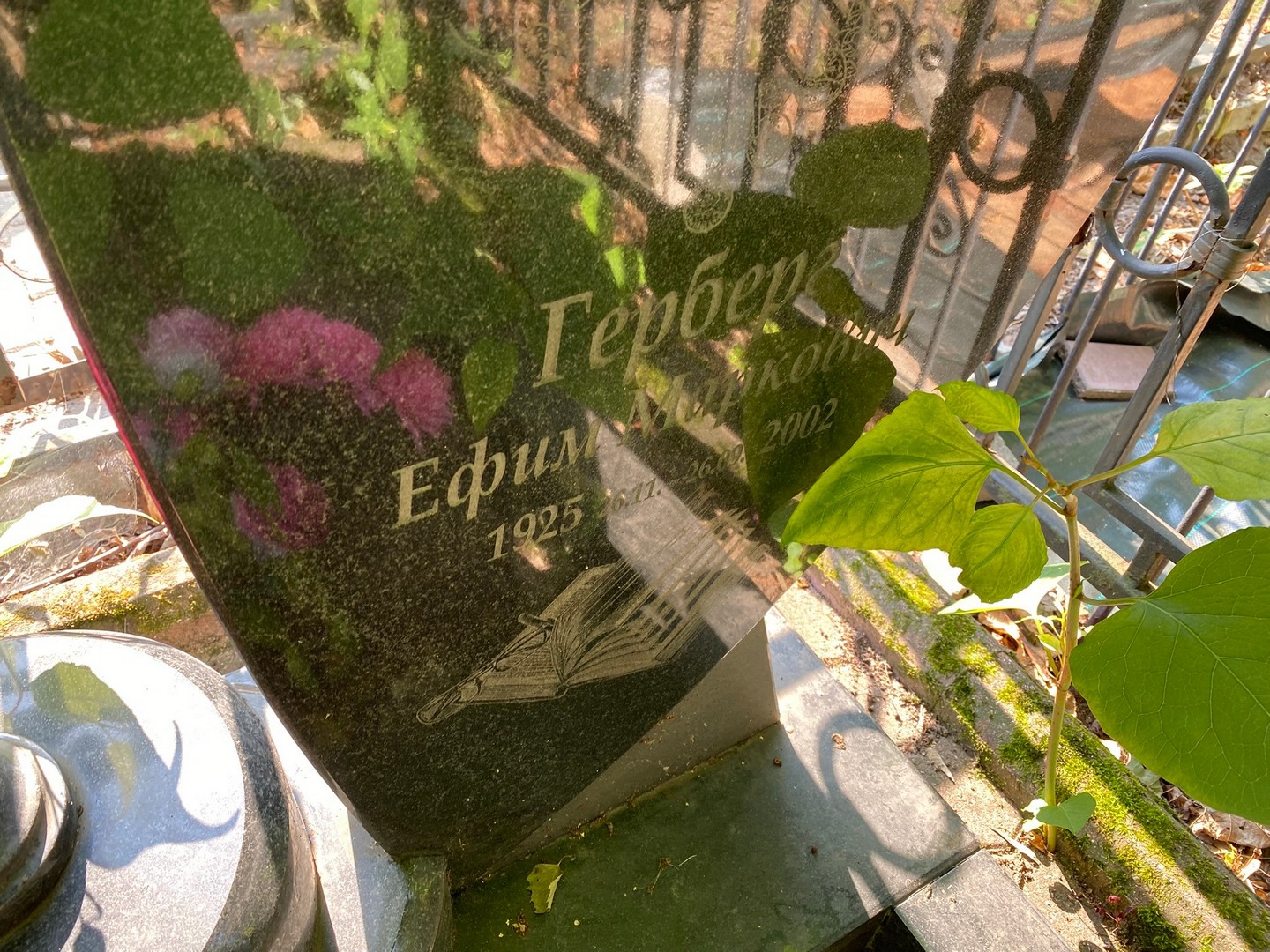Ефим Герберг Маркович