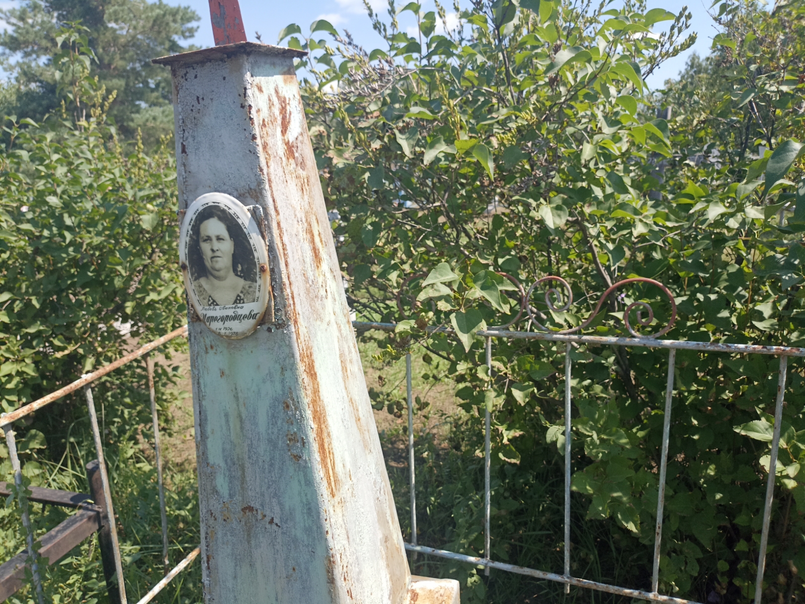 Царегородцева Любовь Ивановна