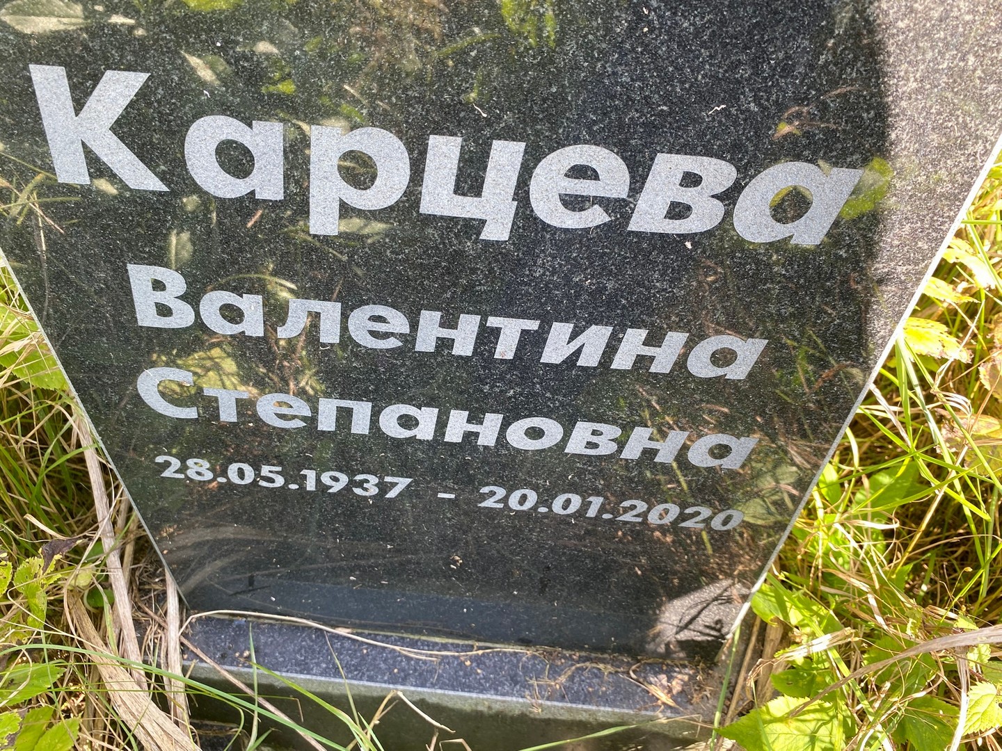 Карцева