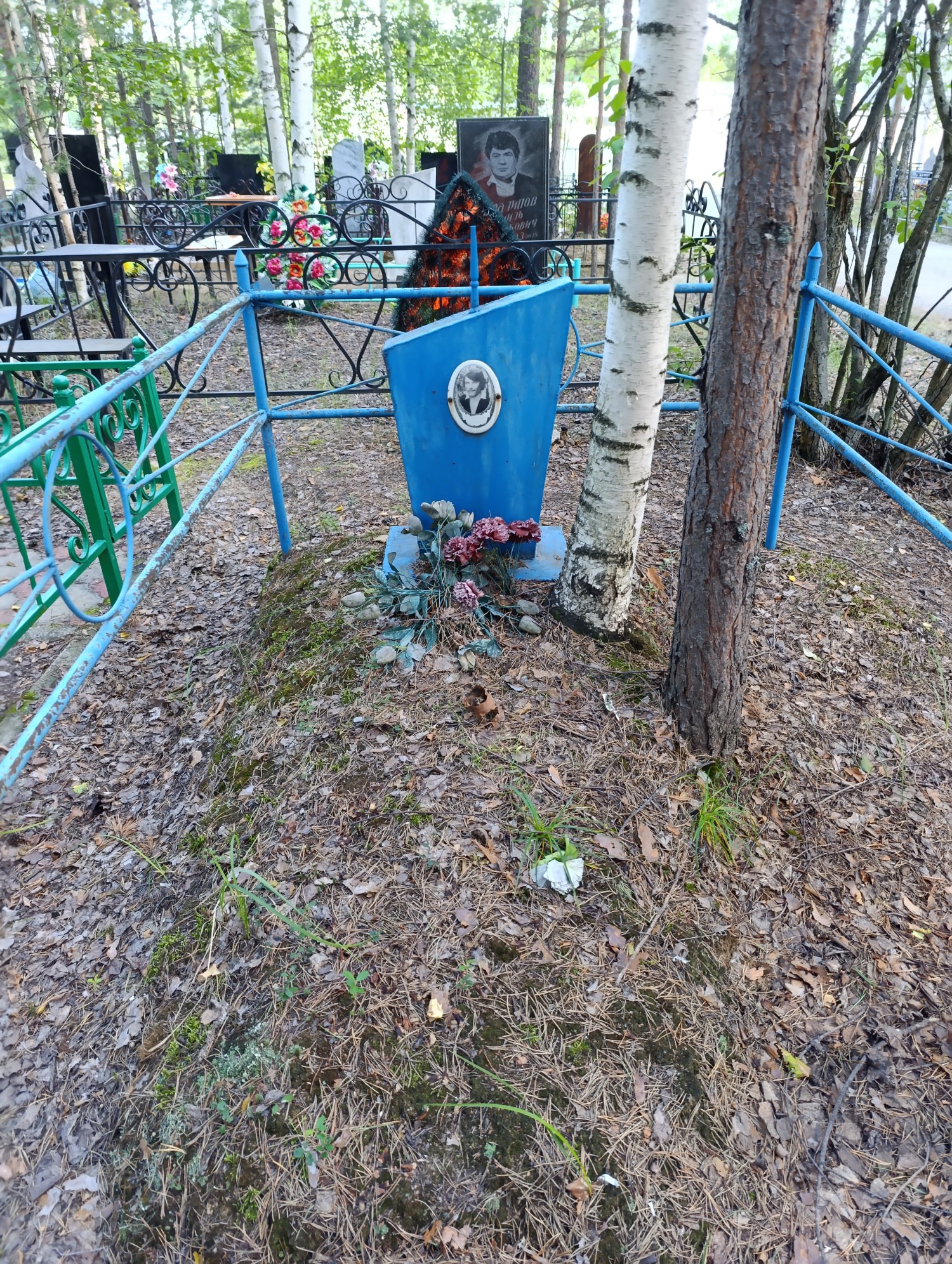 Наумов В В