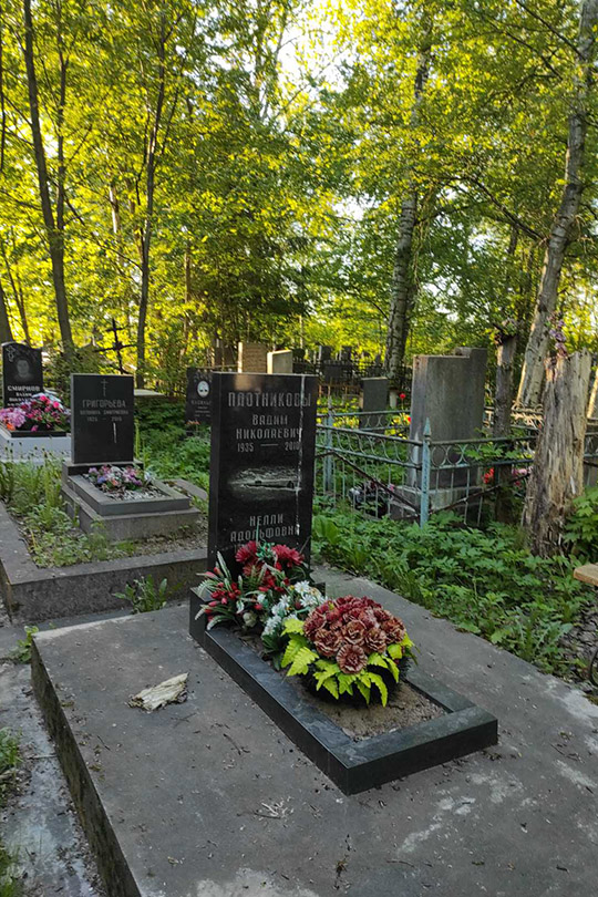 Плотников Вадим Николаевич