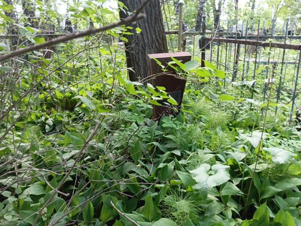Товпеко Иван Петрович