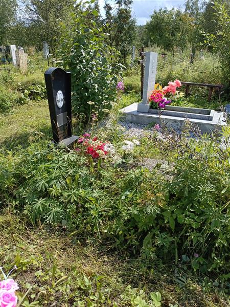 Шахмин Александр Николаевич