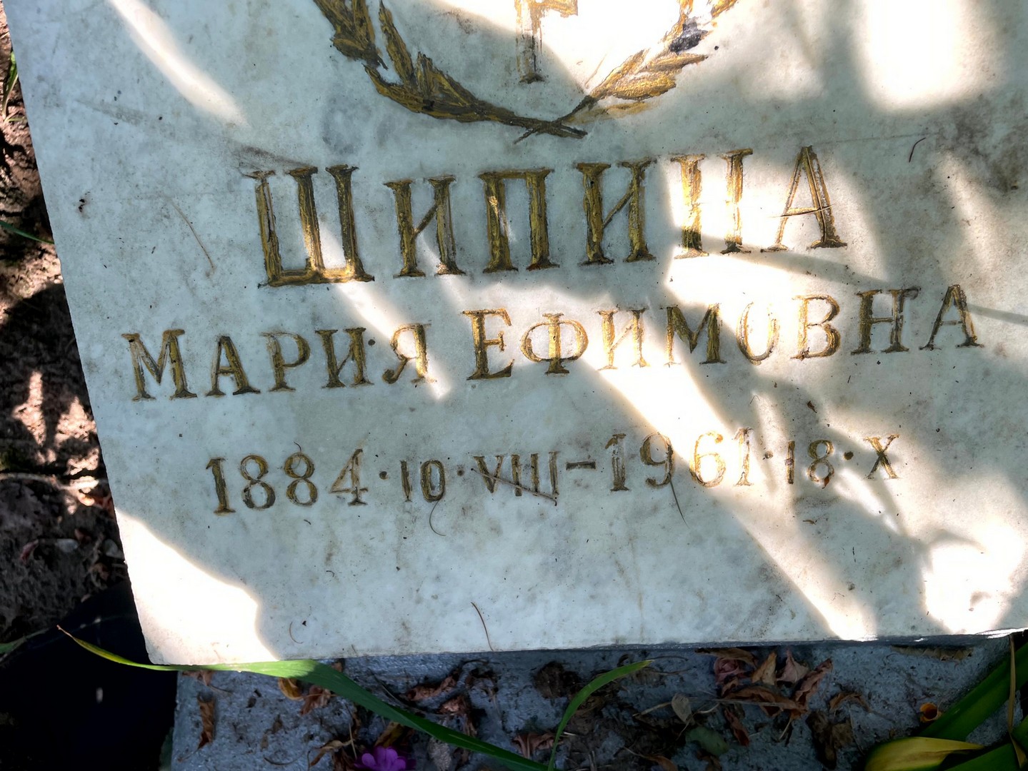 Шипина