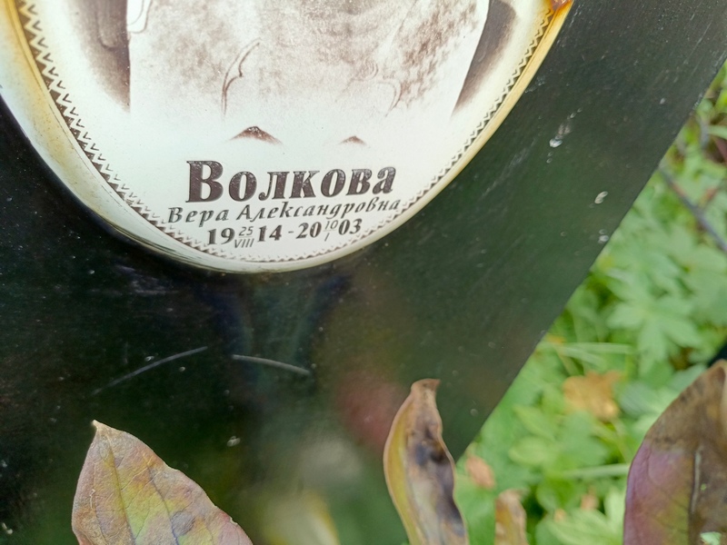 Волкова