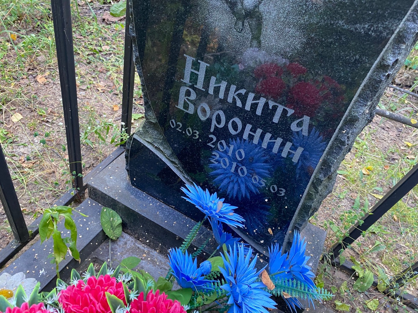 Воронин Никита