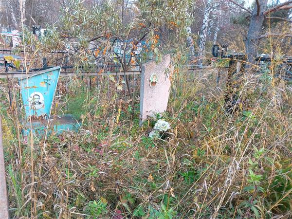 Шнуровозов Александр Дмитриевич