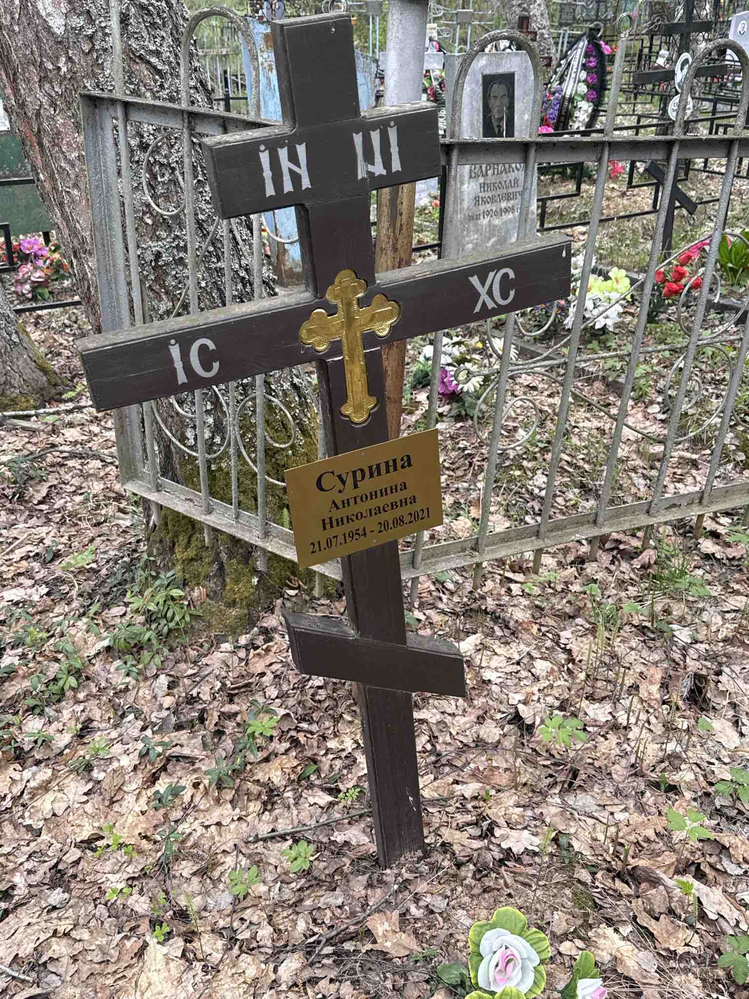 Сурина Антонина Николаевна