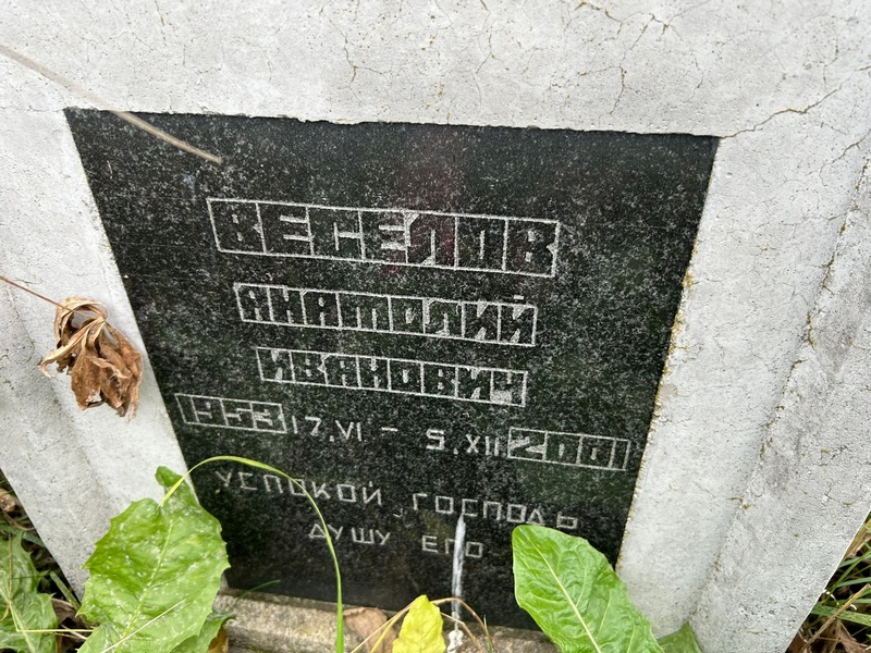 Веселов