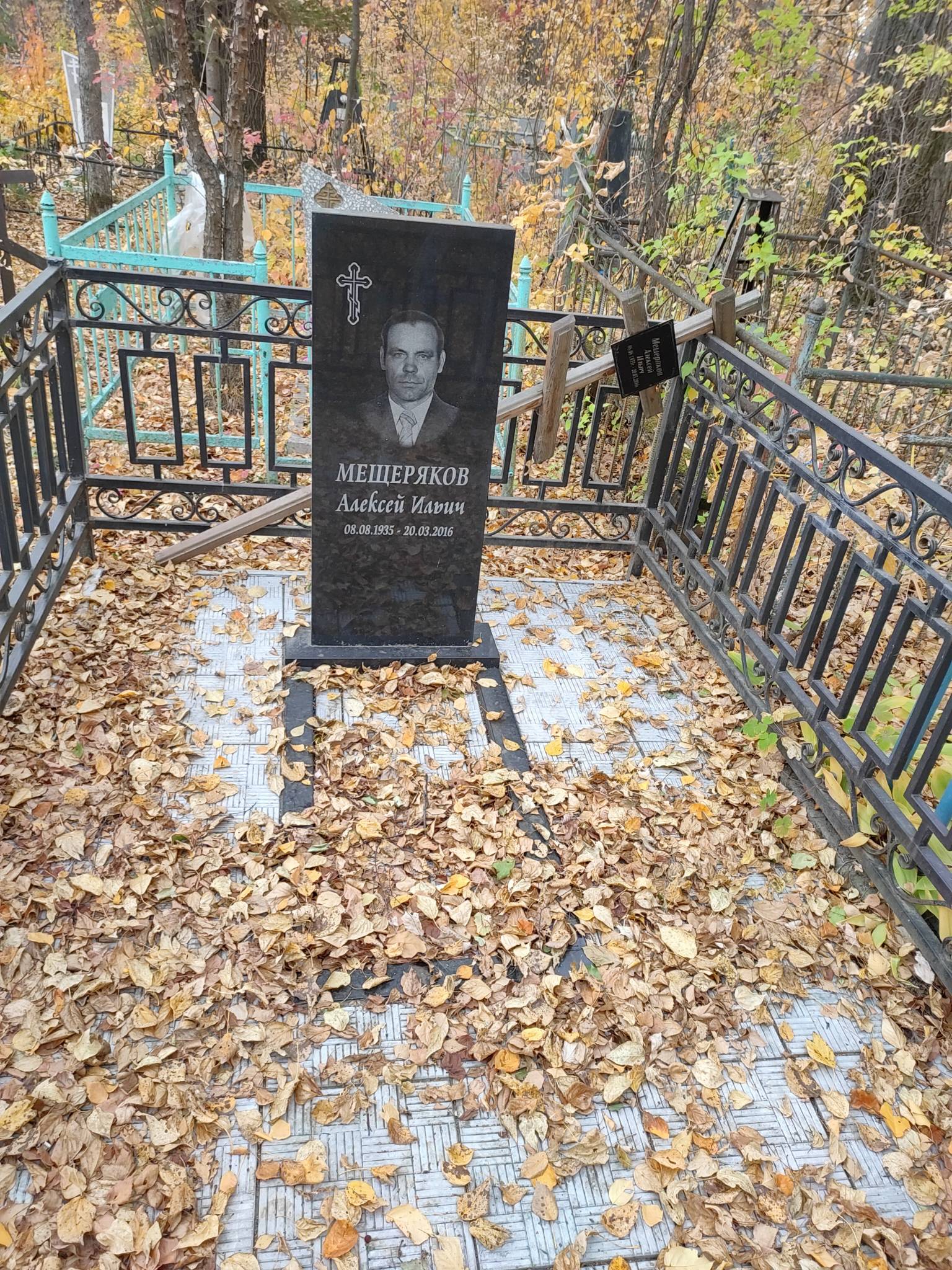 Мещеряков Алексей Ильич