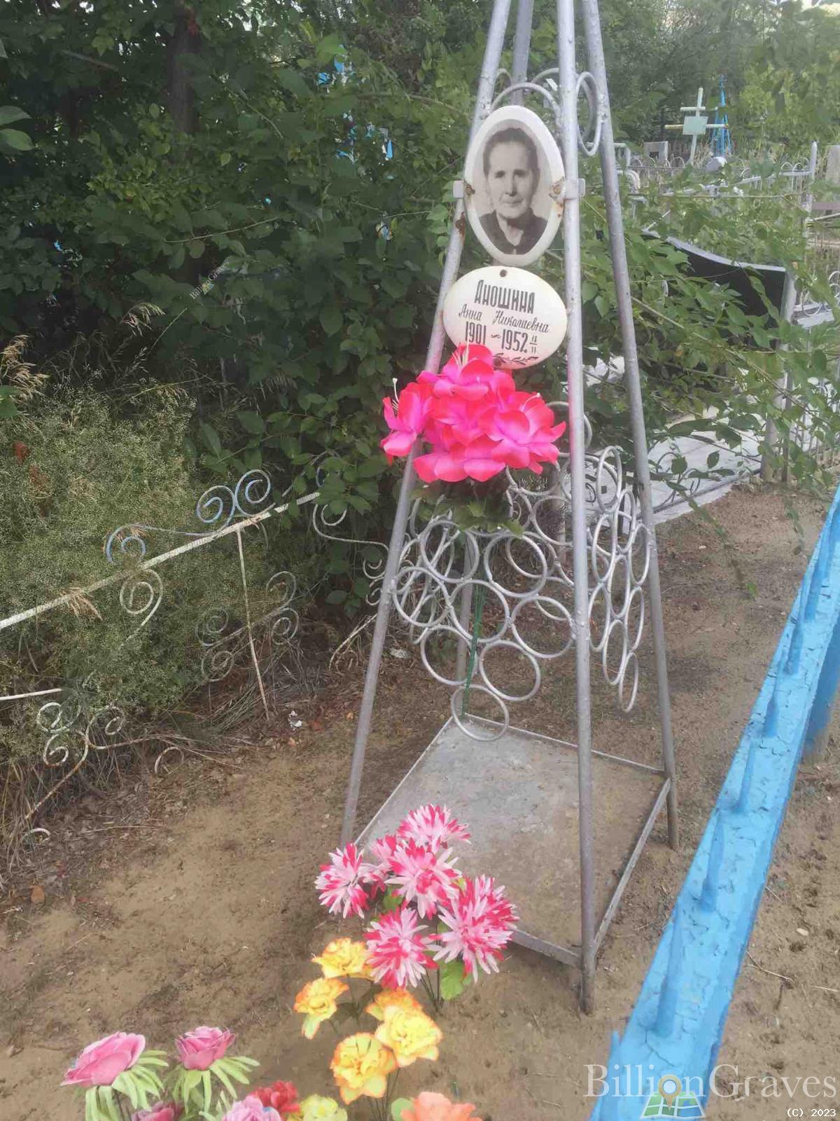 Аношина Анна Николаевна