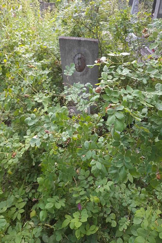 Алексеев Георгий Петрович