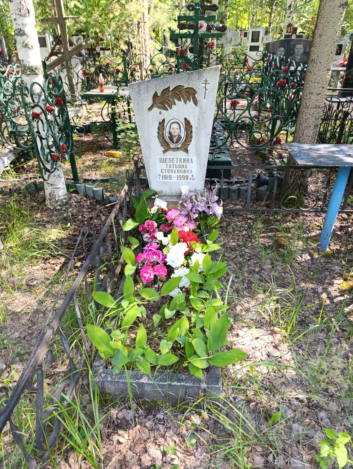 Щепеткина Татьяна Степановна