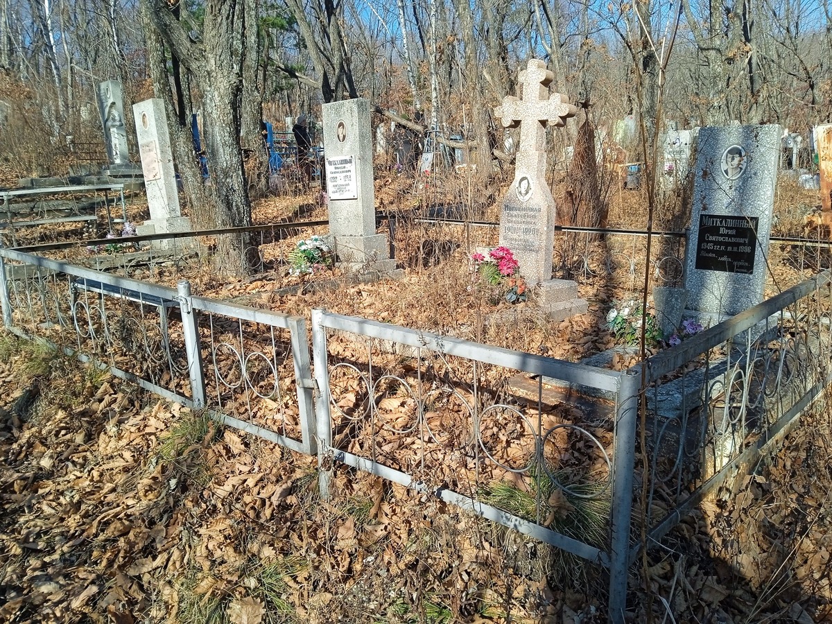 Миткалинный Николай Святославович