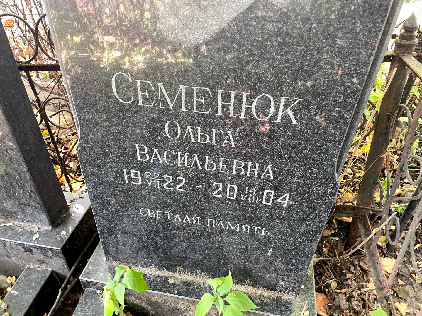 Семенюк