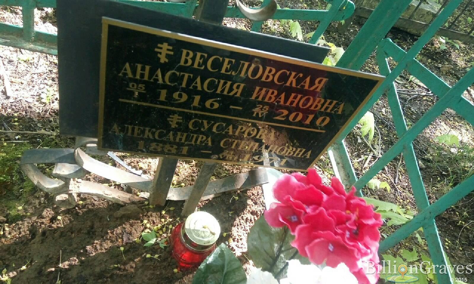веселовская анастасия ивановна