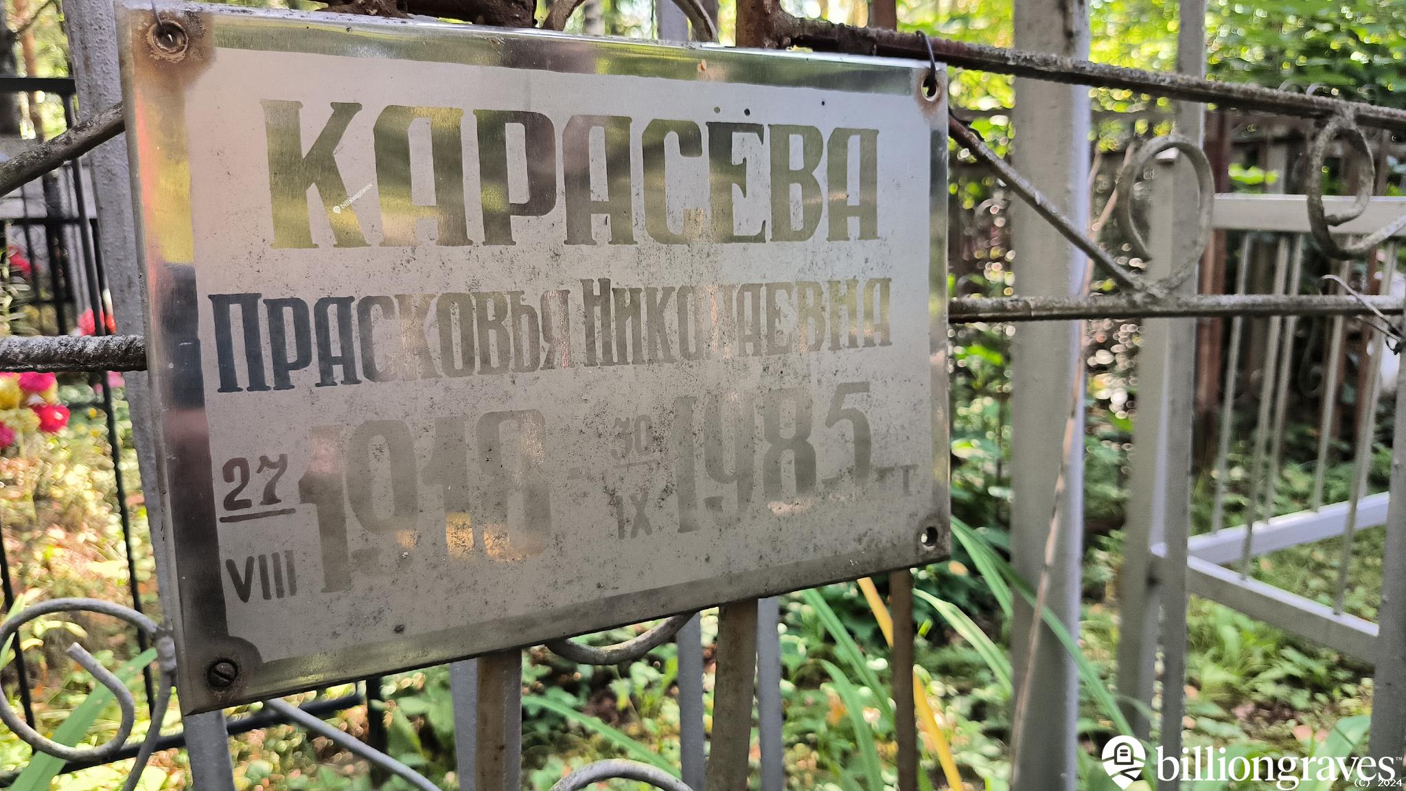 Карасёва Прасковья Николаевна