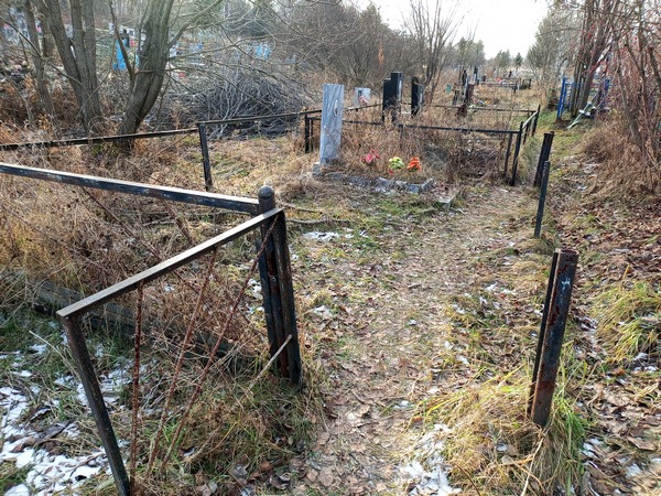 Сафронова Александра Павловна